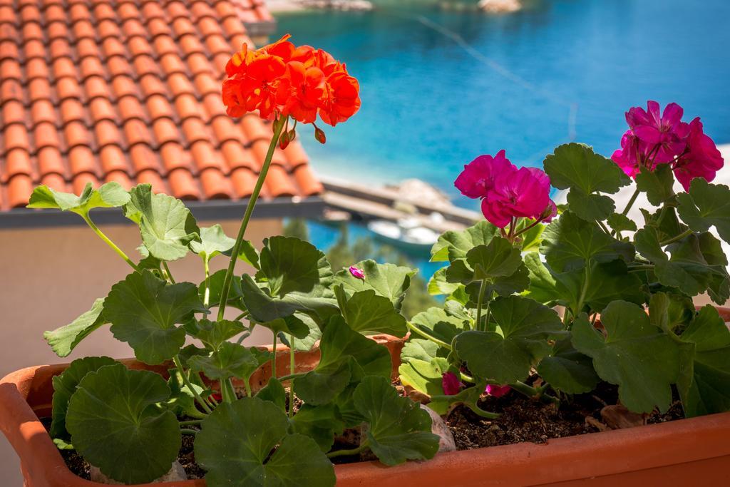 Guest House Davor Tomas Brela Dış mekan fotoğraf